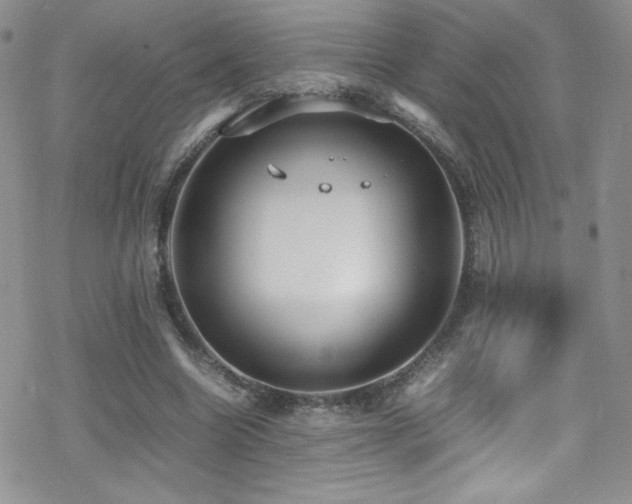 X0000070410538200606091154