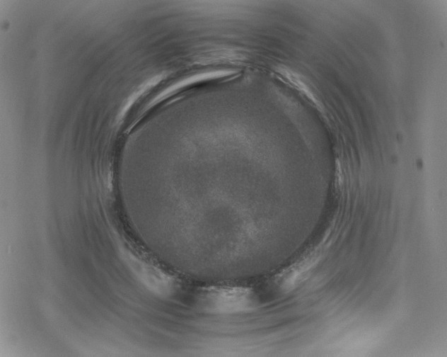 X0000070410539200606091154