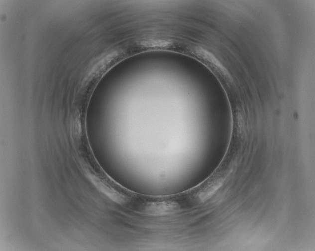 X0000070410541200606091154