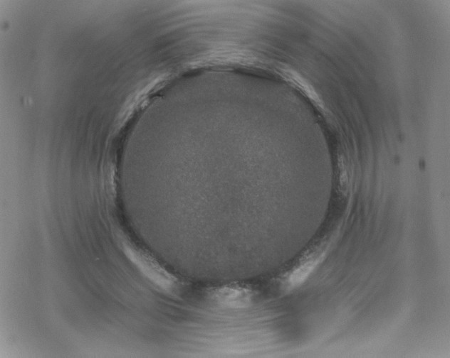 X0000070410542200606091154