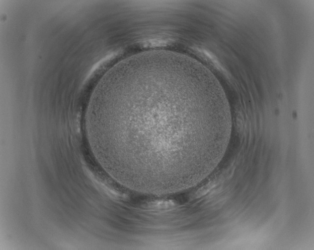 X0000070410543200606091154