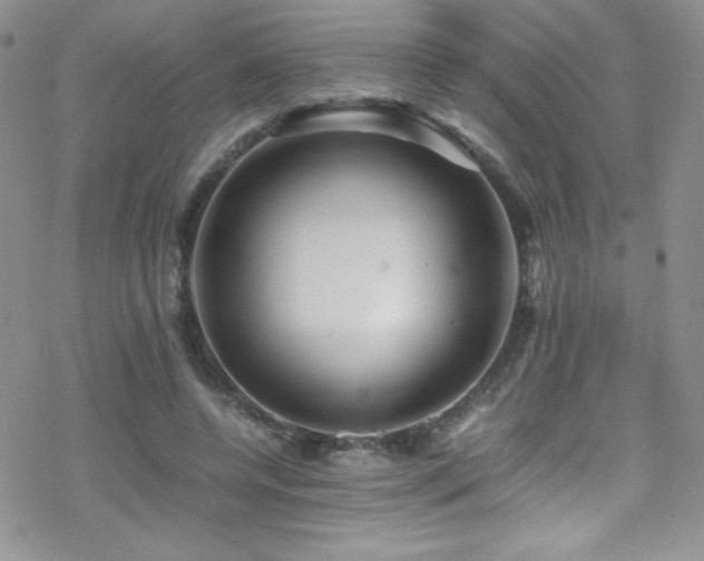 X0000070410544200606091154