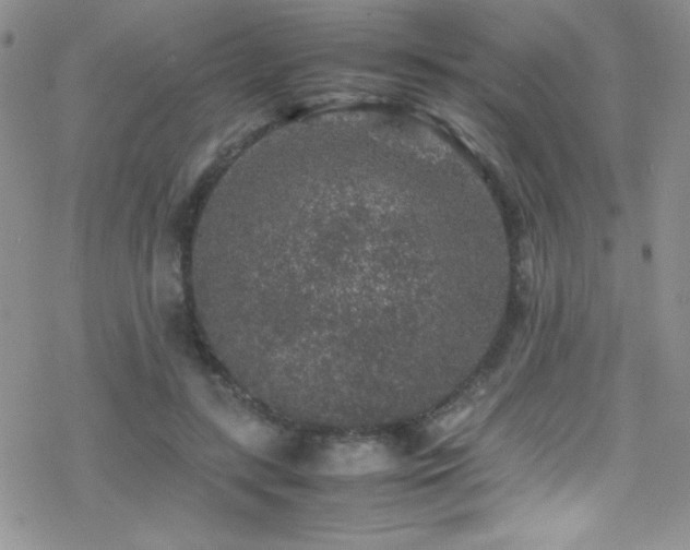 X0000070410547200606091154