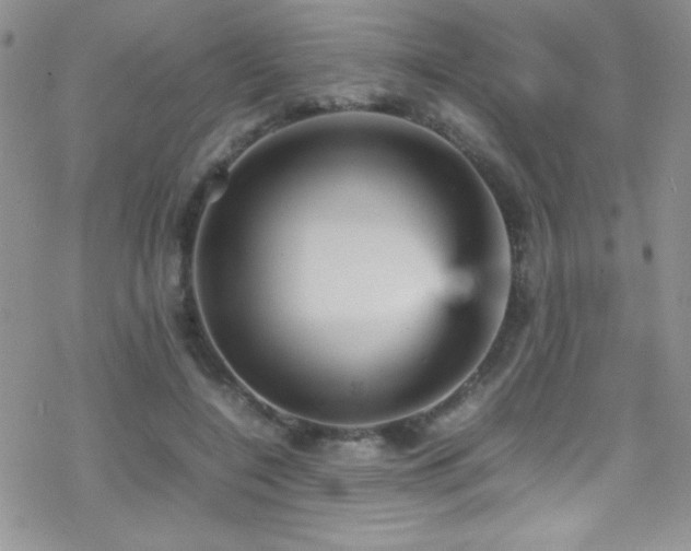 X0000070410548200606091154