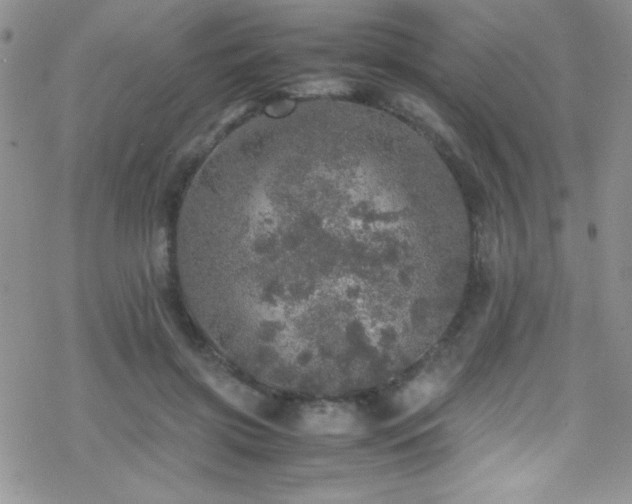 X0000070410549200606091154