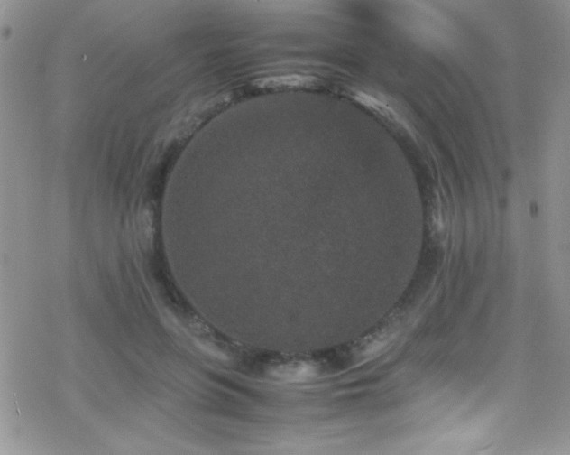 X0000070410551200606091154