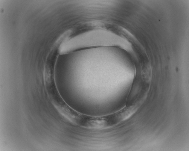 X0000070410552200606091154