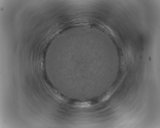 X0000070410553200606091154