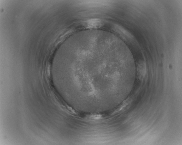 X0000070410554200606091154