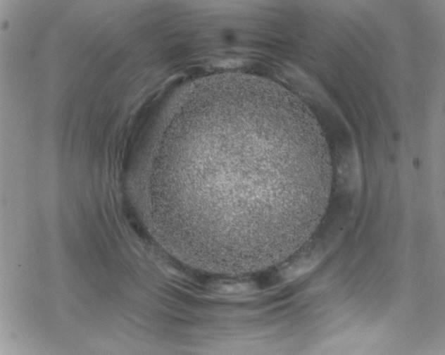 X0000070410555200606091154