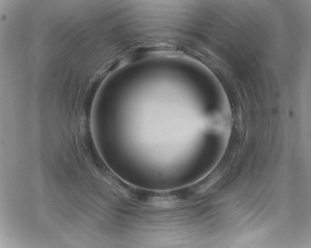 X0000070410556200606091154