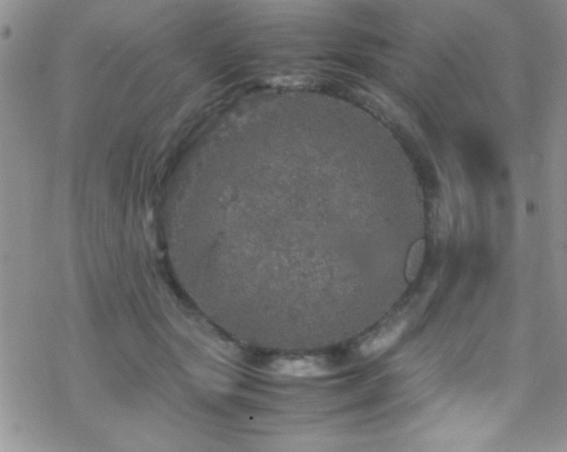 X0000070410557200606091154