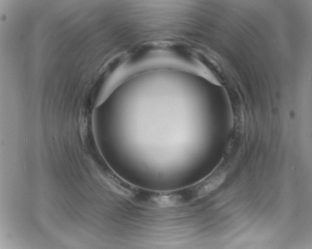 X0000070410558200606091154