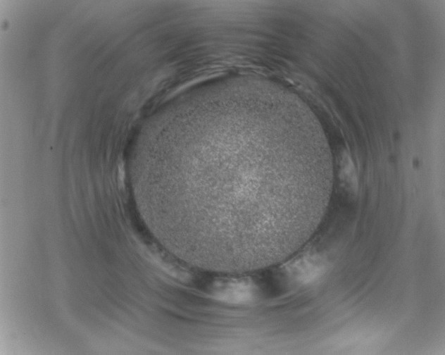 X0000070410559200606091154