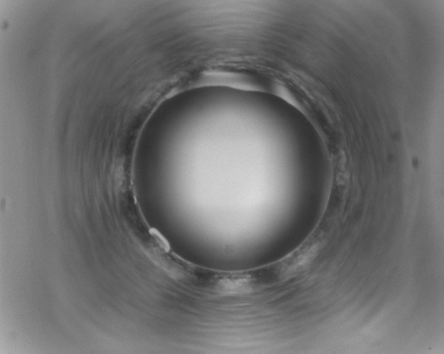 X0000070410560200606091154