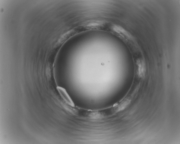 X0000070410562200606091154