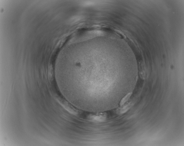 X0000070410563200606091154