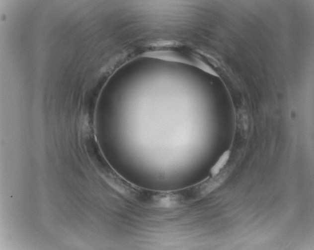 X0000070410564200606091154