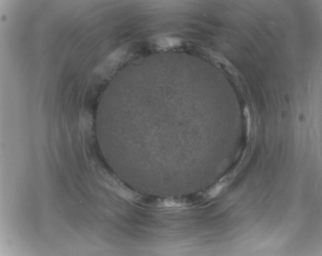 X0000070410565200606091154