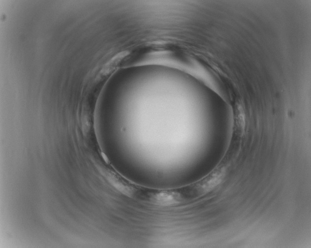 X0000070410566200606091154