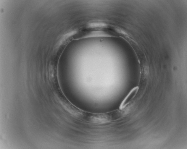 X0000070410567200606091154