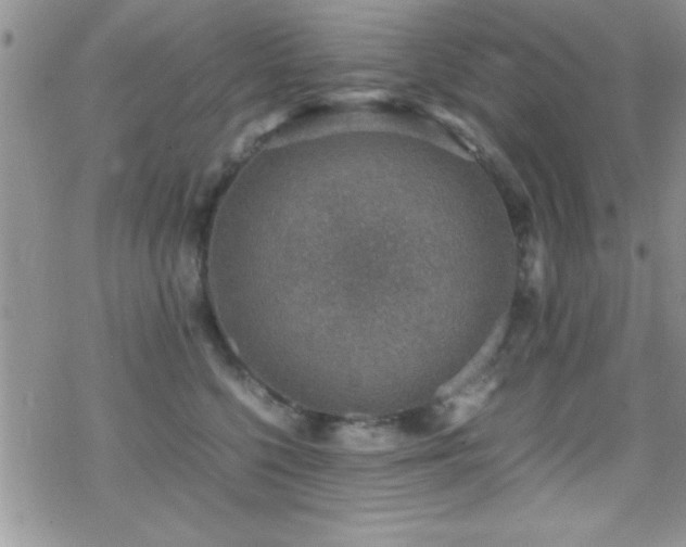 X0000070410568200606091154