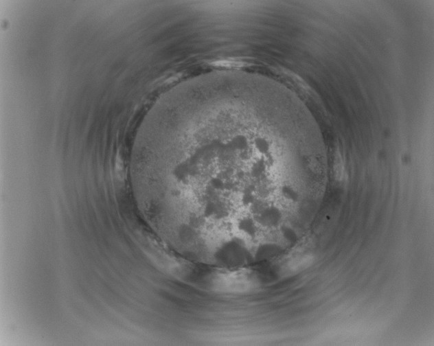 X0000070410569200606091154