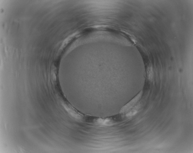 X0000070410570200606091154