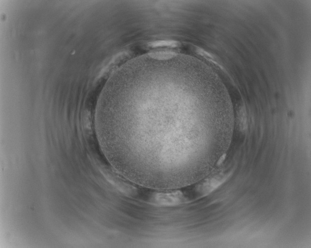 X0000070410571200606091154