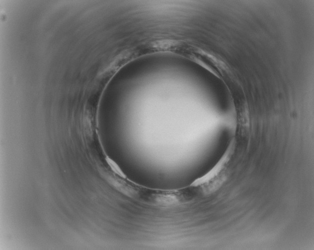 X0000070410572200606091154