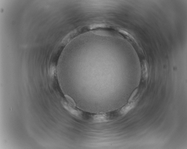 X0000070410574200606091154