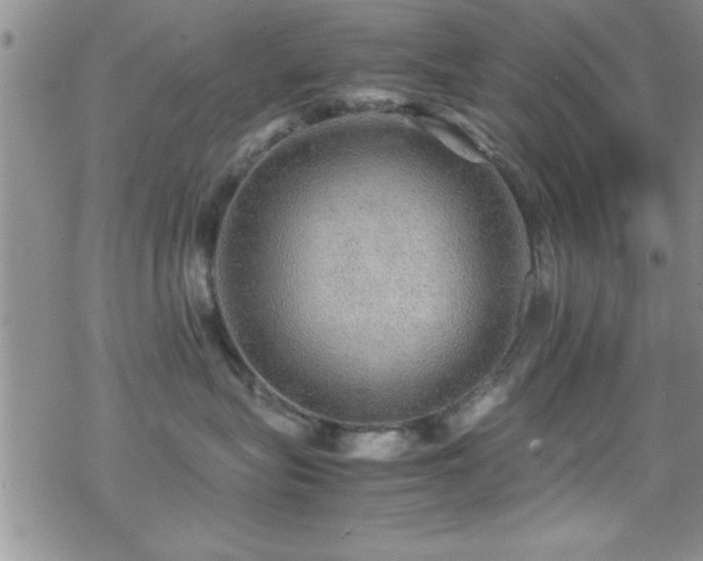 X0000070410575200606091154