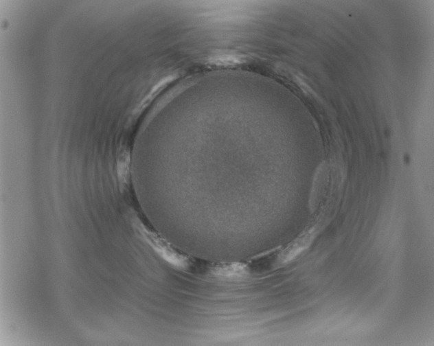 X0000070410576200606091154