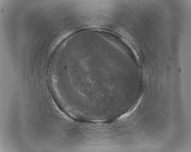 X0000070410577200606091153