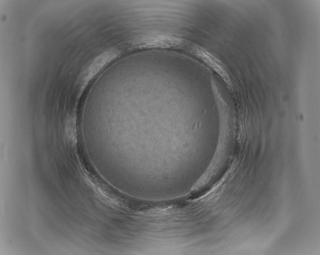 X0000070410578200606091153