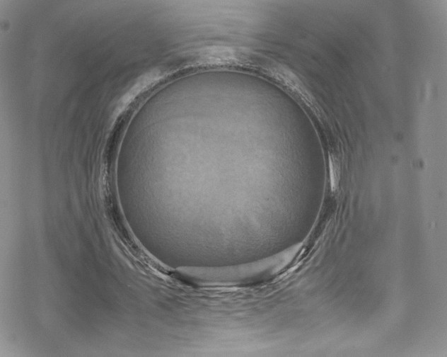 X0000070410579200606091153