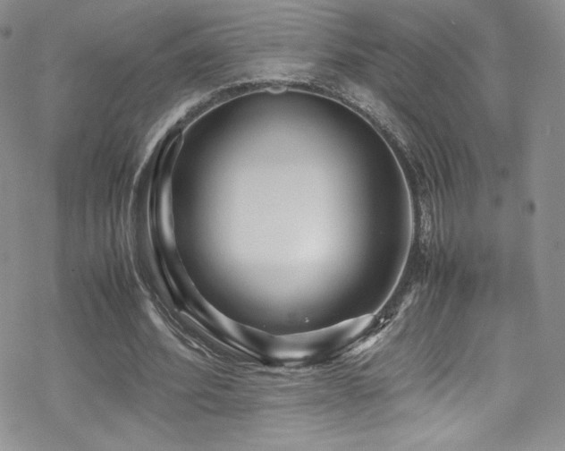 X0000070410580200606091153