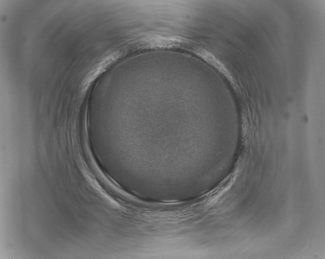 X0000070410581200606091153