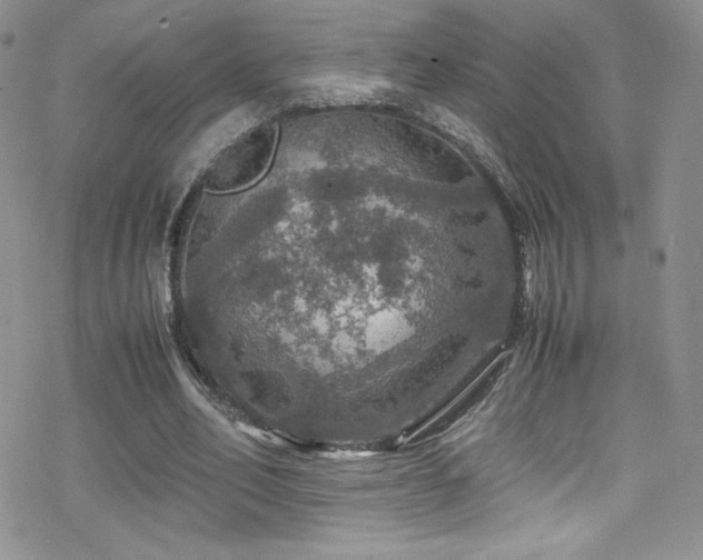 X0000070410582200606091153