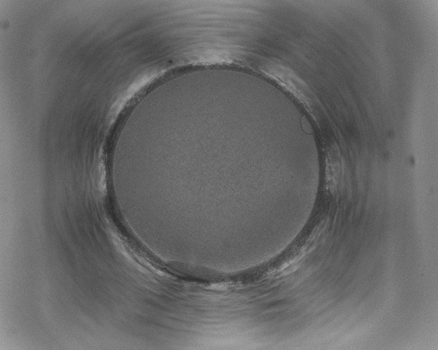 X0000070410584200606091153