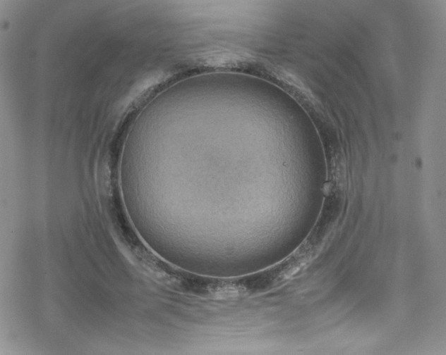 X0000070410587200606091153