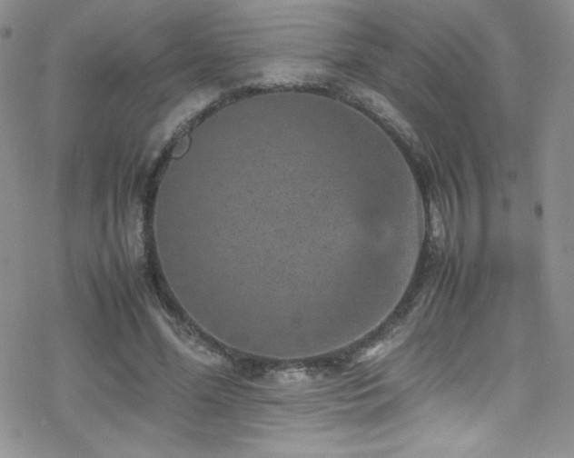 X0000070410588200606091153