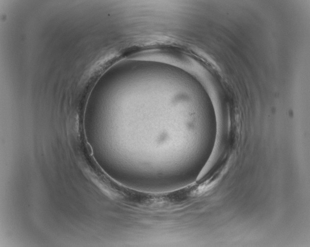 X0000070410589200606091153