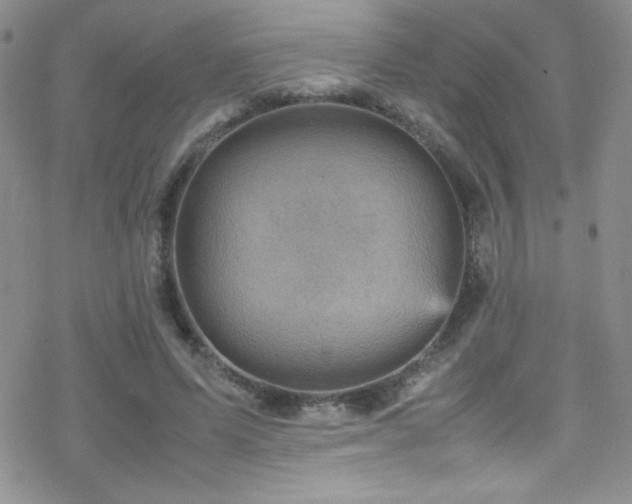 X0000070410591200606091153