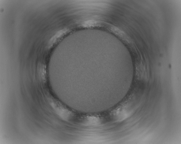 X0000070410592200606091153