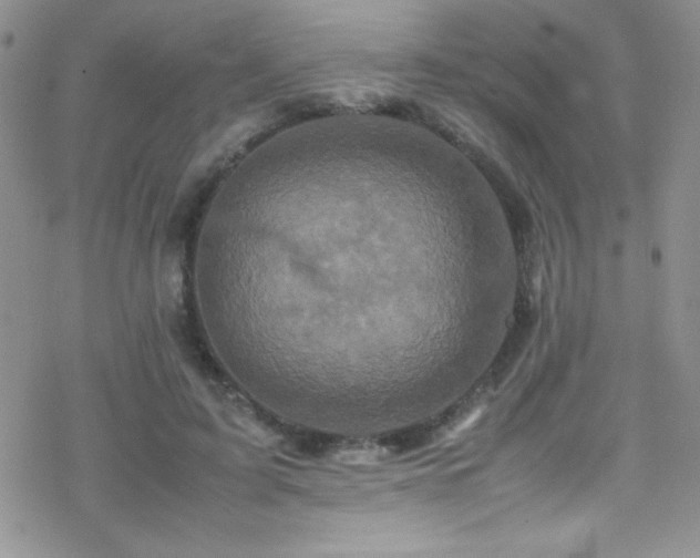 X0000070410595200606091153