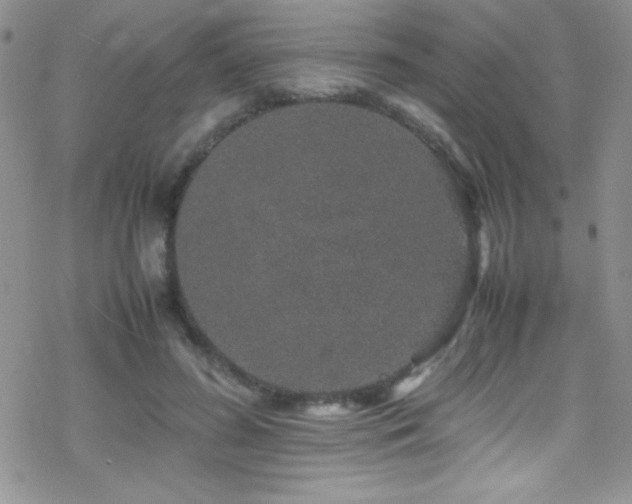 X0000070410596200606091153