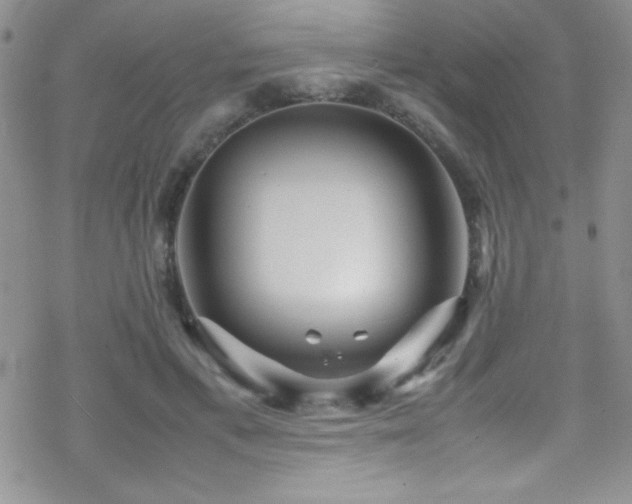 X0000070410597200606091153