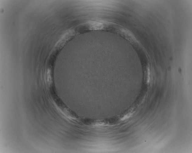 X0000070410598200606091153