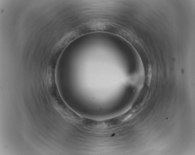 X0000070410600200606091153